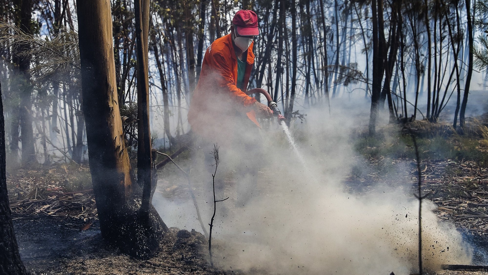 Um sapador florestal combate as chamas junto à aldeia de Rebolo, durante o incêndio que começou em Abiul, Pombal, na passada sexta-feira, Rebolo, Ansião, 14 de julho de 2022. PAULO NOVAIS/LUSA