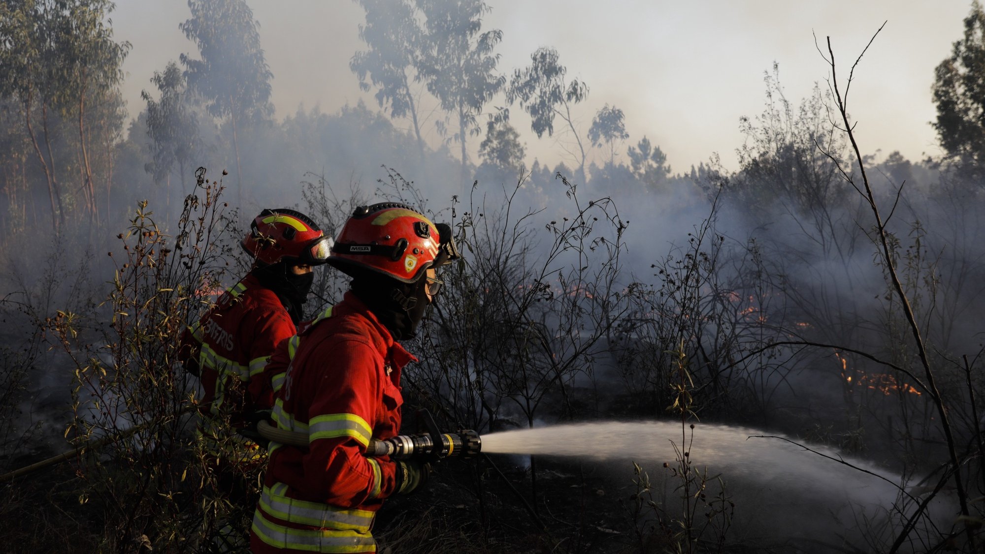 Portuguese device in Zamora fire amounts to 39 operations