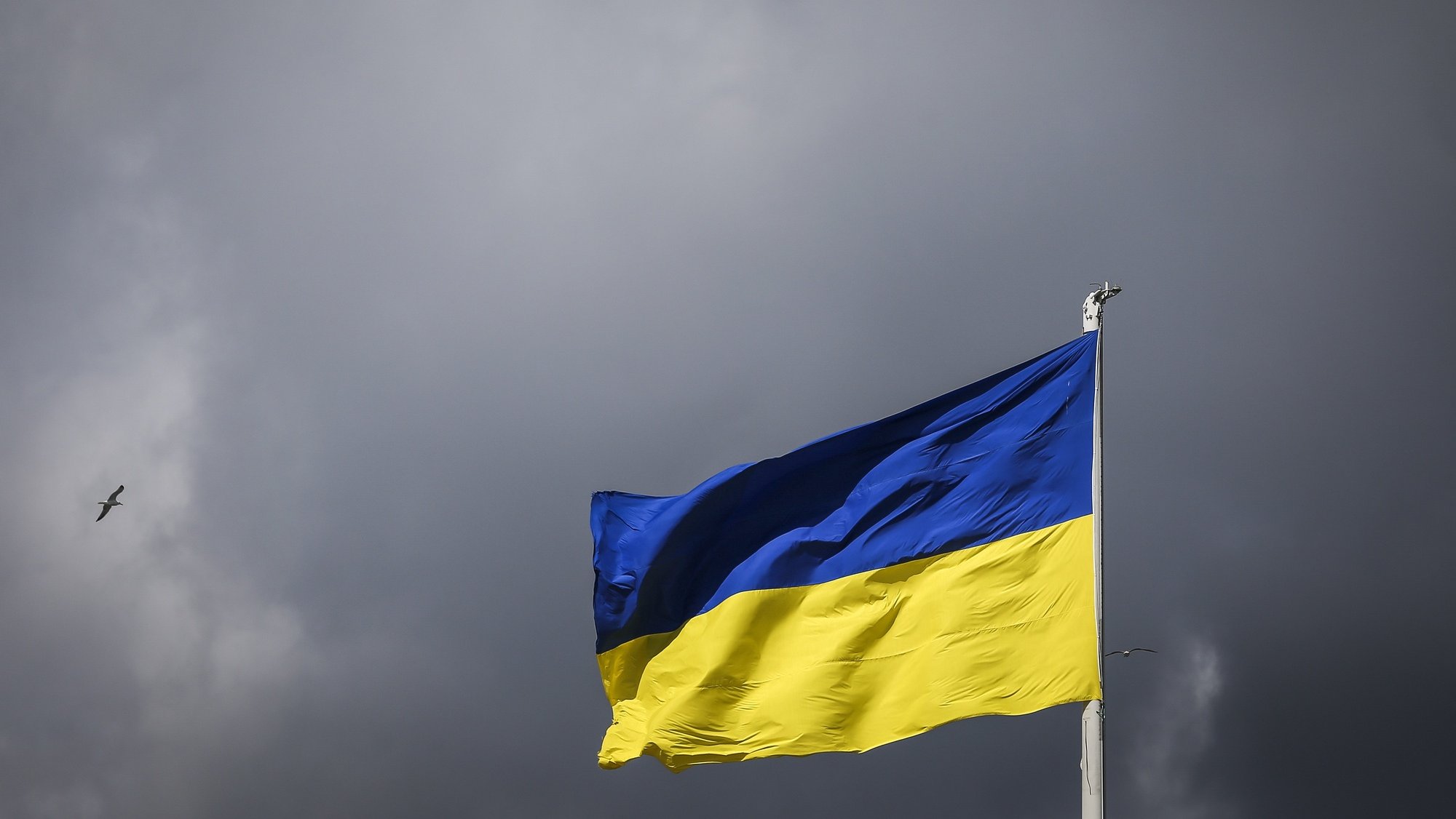 Bandeira da Ucrânia asteada durante a reunião do Conselho de Estado para debater a situação na Ucrânia, no Palácio da Cidadela, em Cascais, 14 de março de 2022. RODRIGO ANTUNES/LUSA