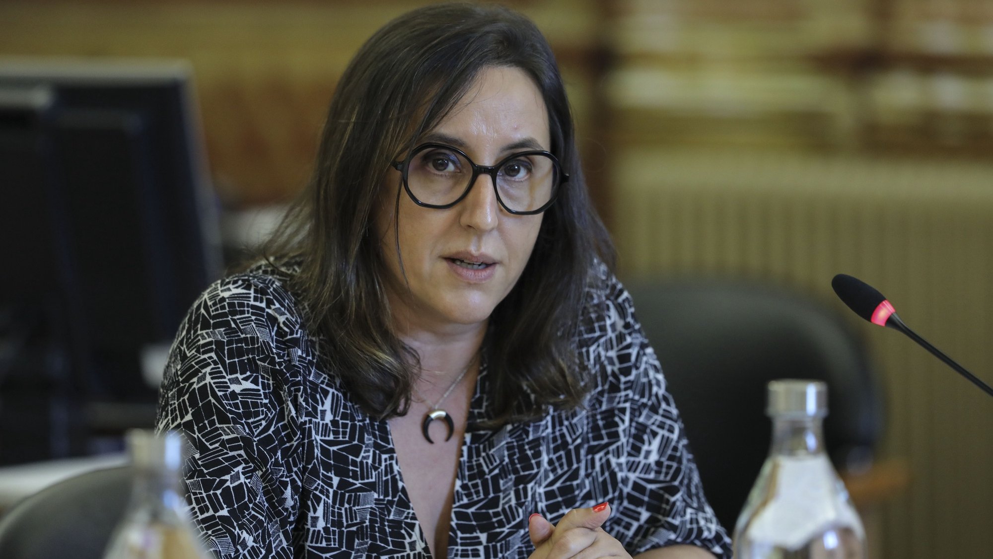 Secretária de Estado para a Cidadania e Igualdade, Rosa Monteiro