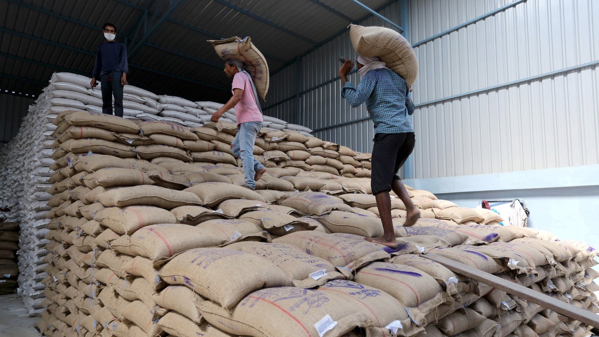 epa08423751 Indian laborers arrange wheat sacks at a wholesale market in Bhopal, India, 15 May 2020. Prime Minister of India Narendra Modi has announced a 266 billion US dollar stimulus package in an effort to boost India&#039;s economy after it was negativity impacted by the coronavirus outbreak. The dollar value of the rescue package is larger than the gross domestic product (GDP) of 149 countries.  EPA/SANJEEV GUPTA