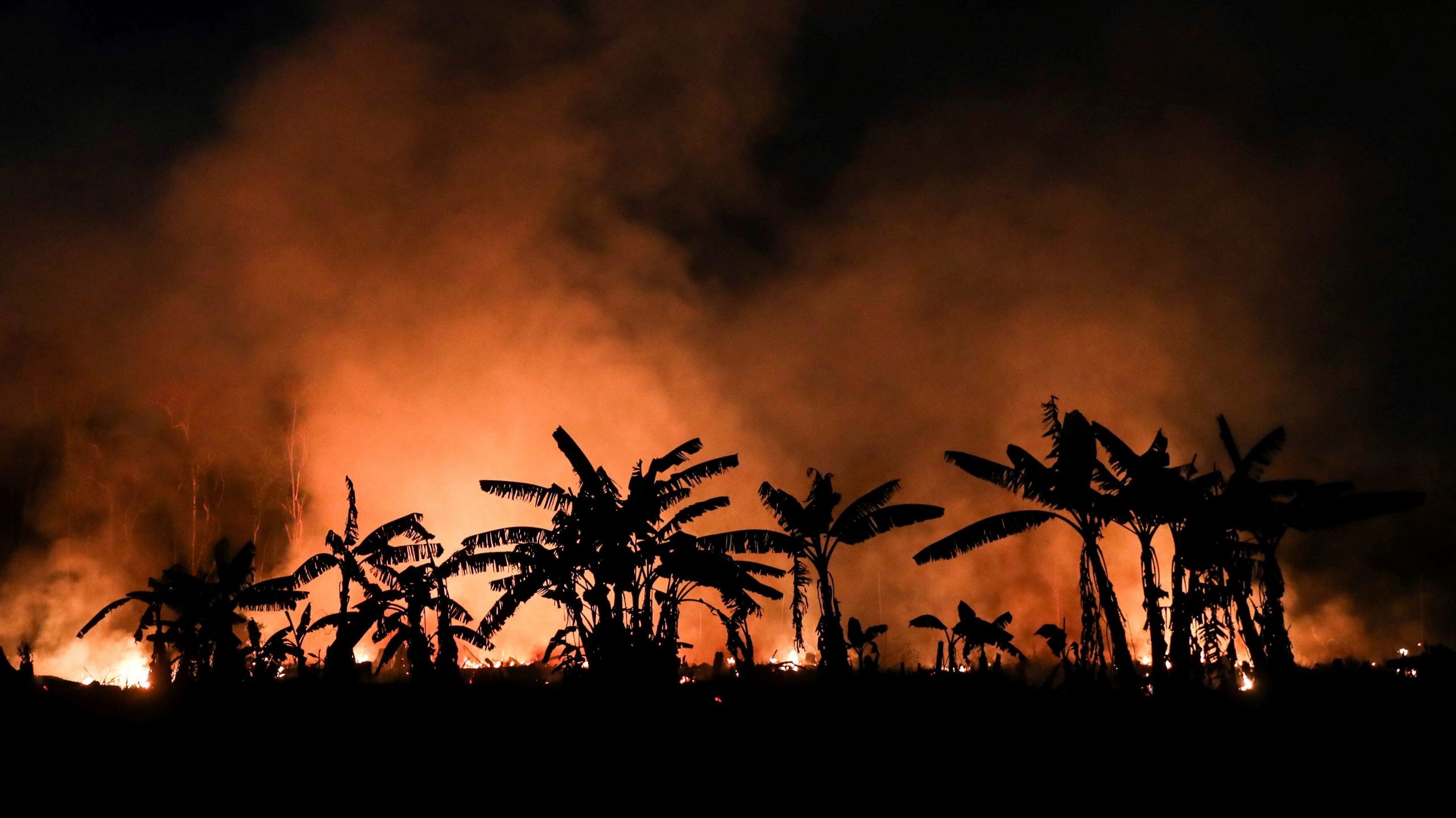 Abril é o segundo mês que o Brasil regista um recorde de devastação da maior floresta tropical do mundo