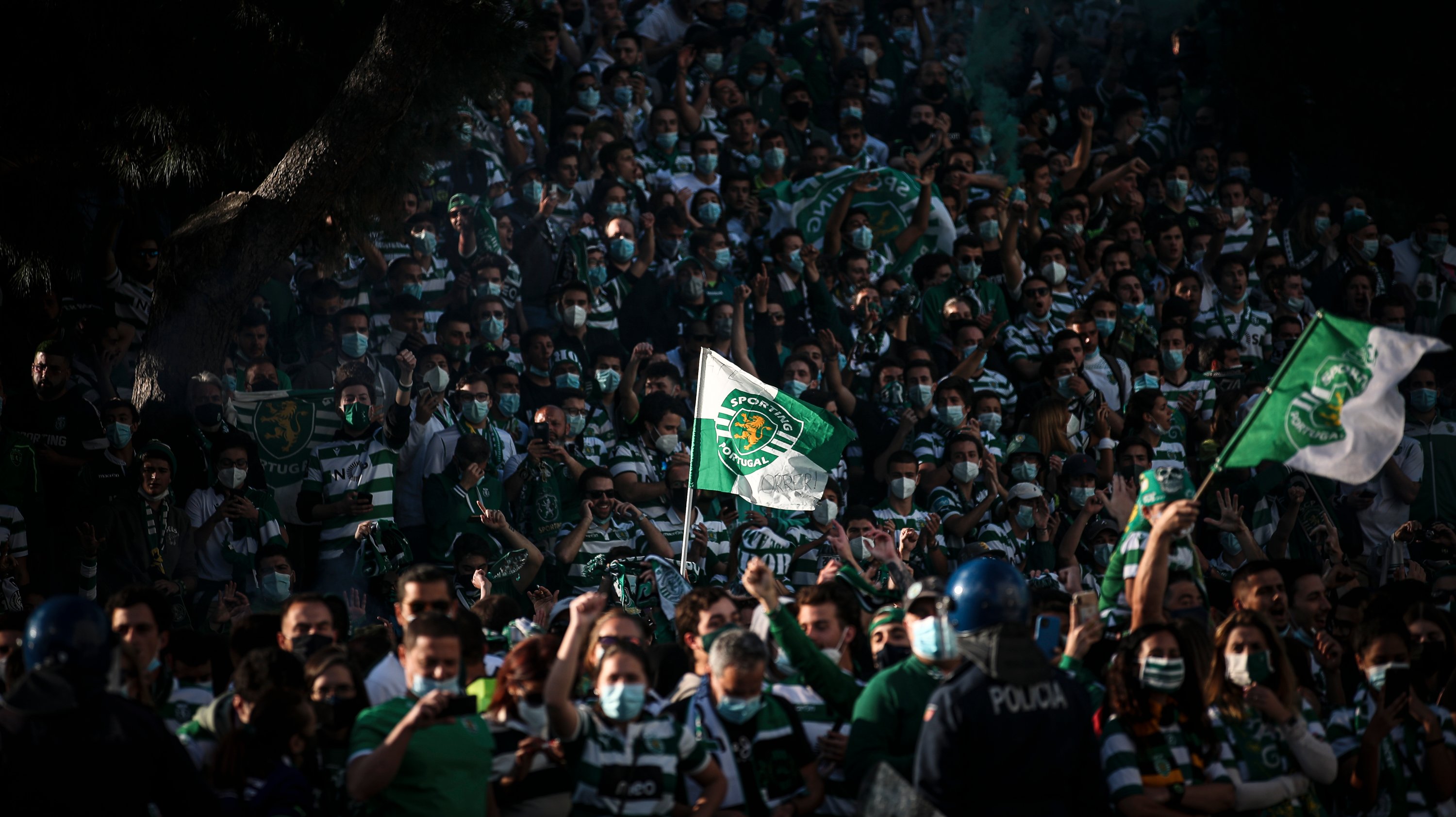 A multidão de adeptos reunida no estádio de Alvalade antes do arranque do jogo contra o Boavista
