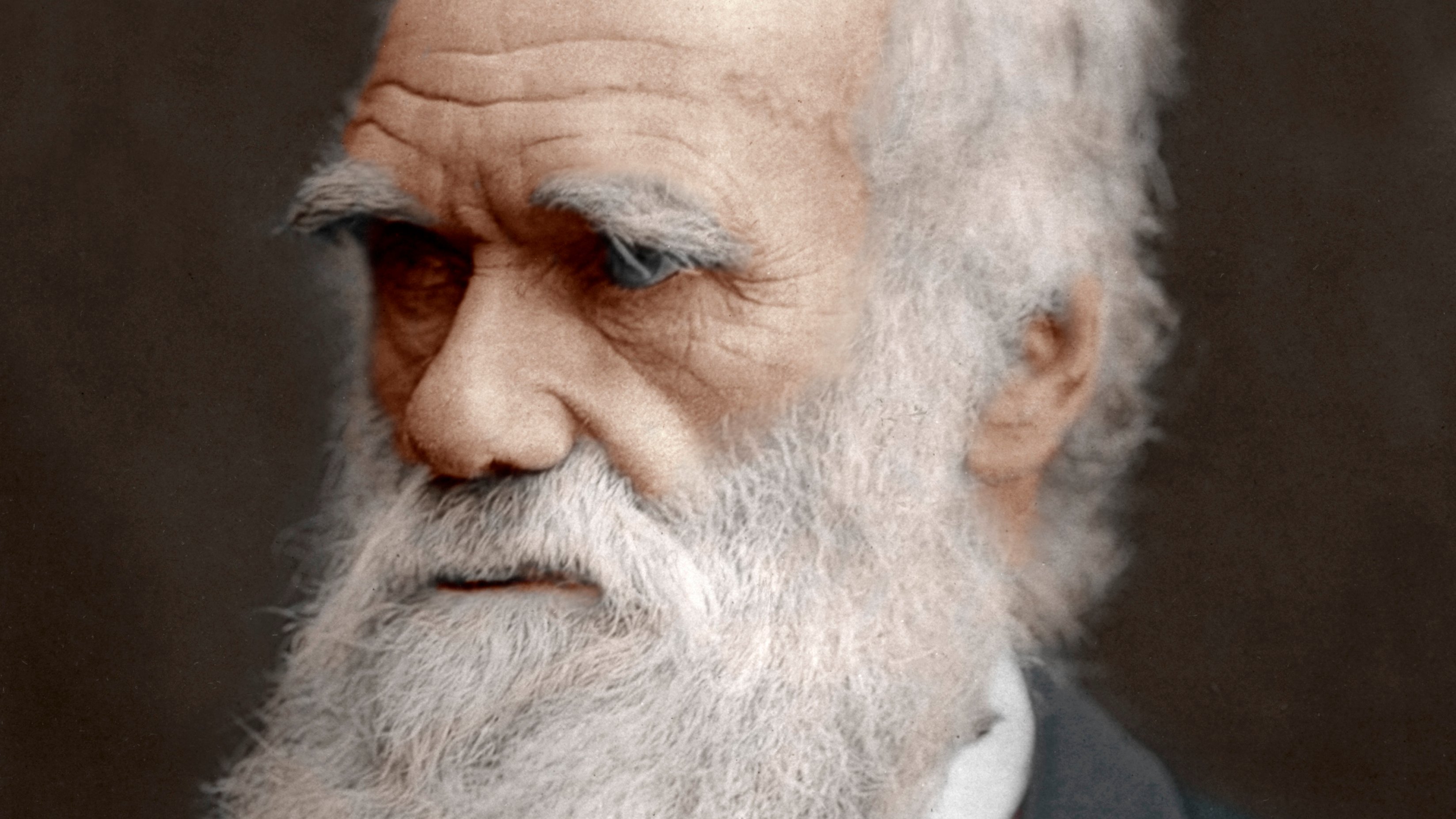 Charles Darwin, British naturalist, 1878.