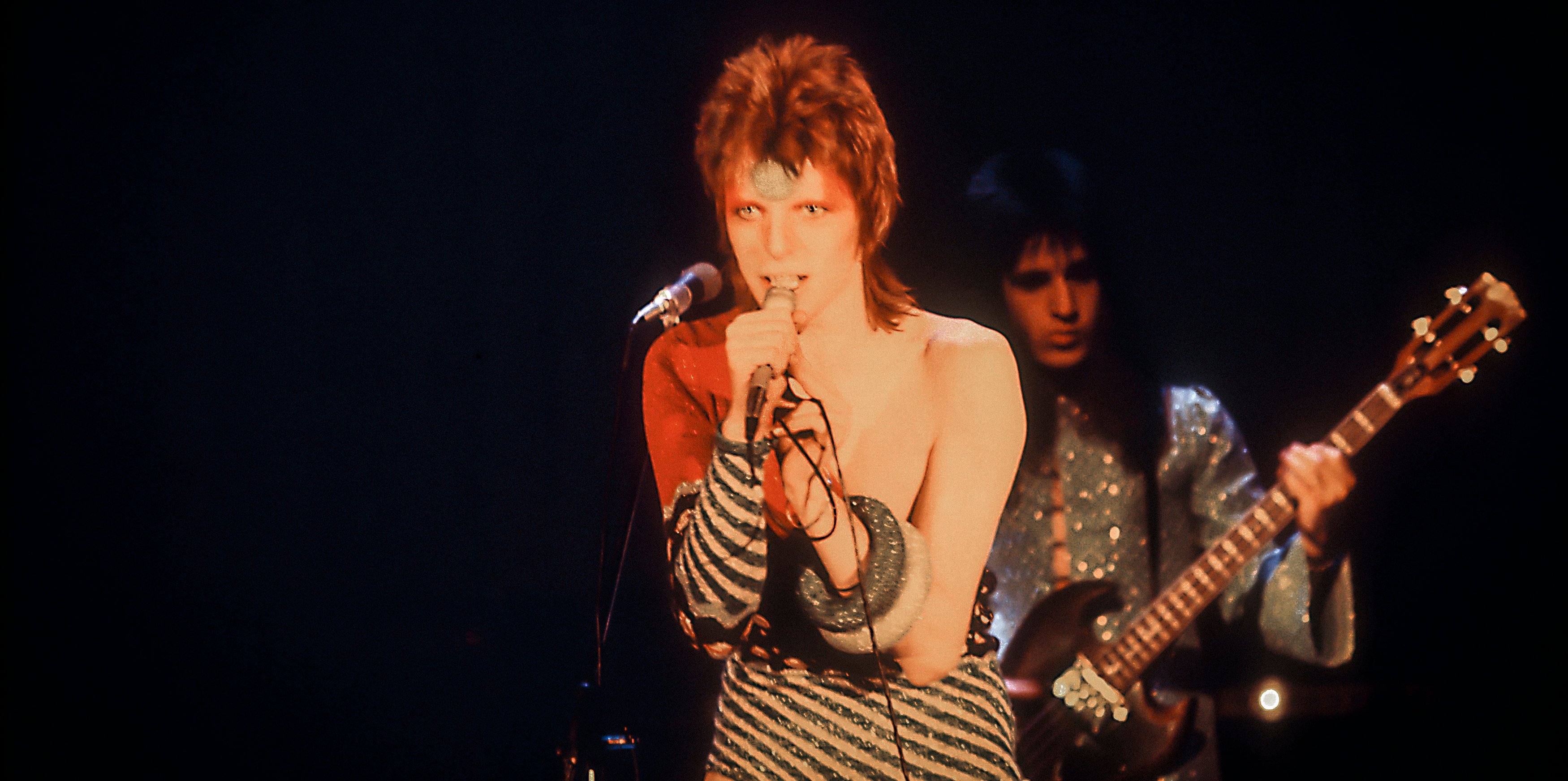 Ziggy Stardust Eternal Life