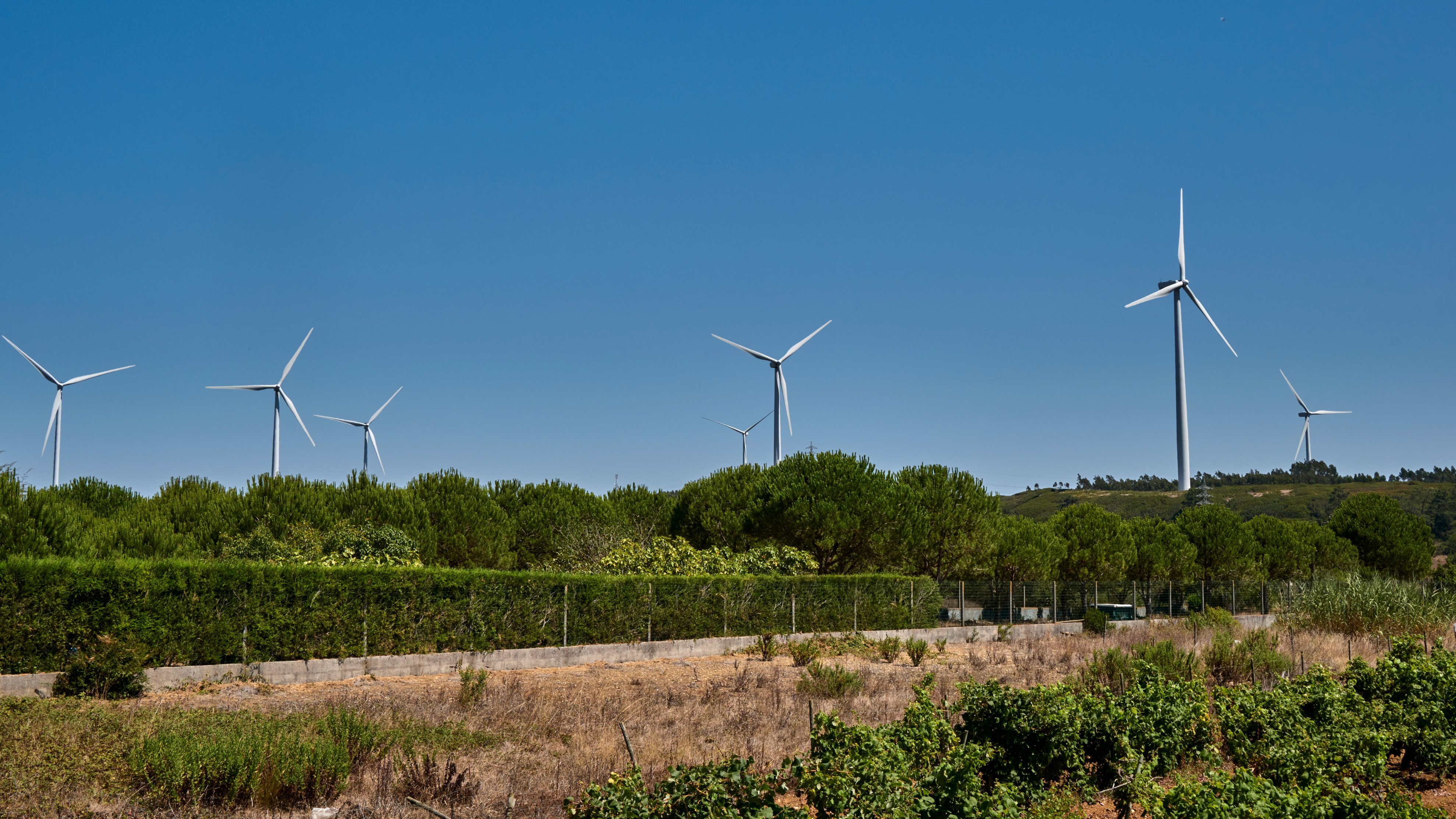Wind Power Is A Major Source Of Electricity In Portugal