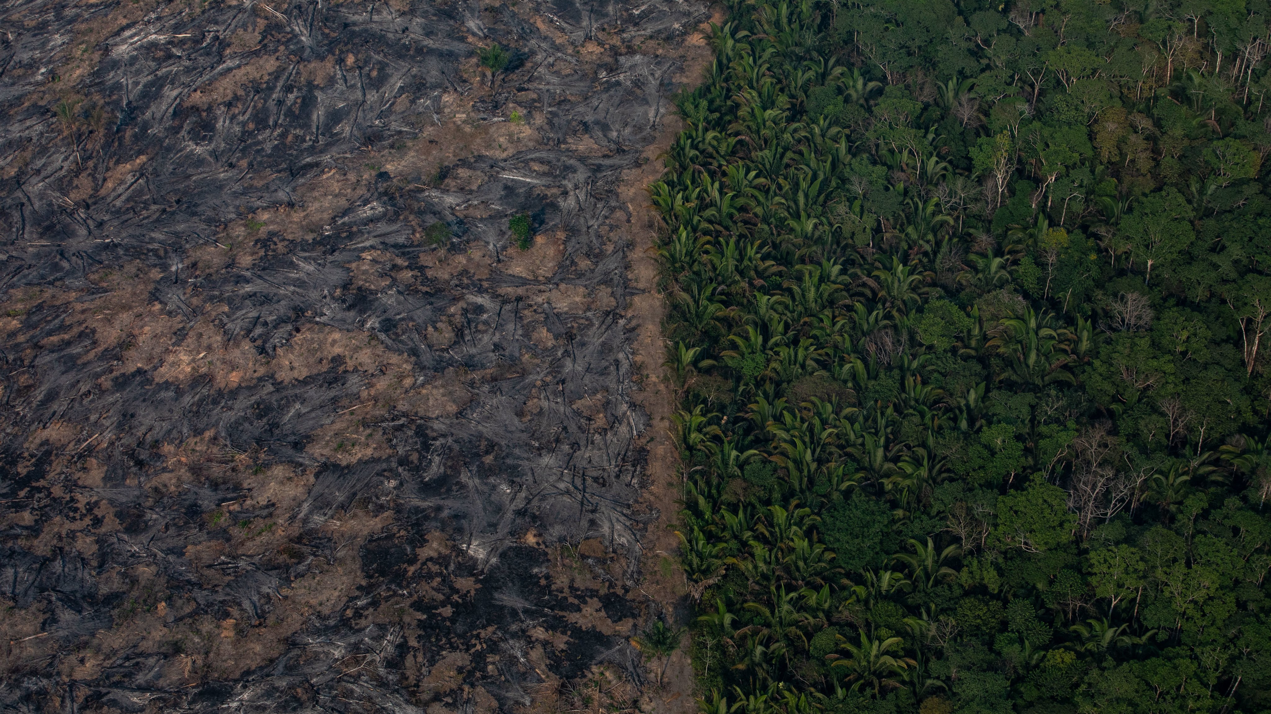 Record Number Of Fires Torch Brazil&#039;s Amazon Forest