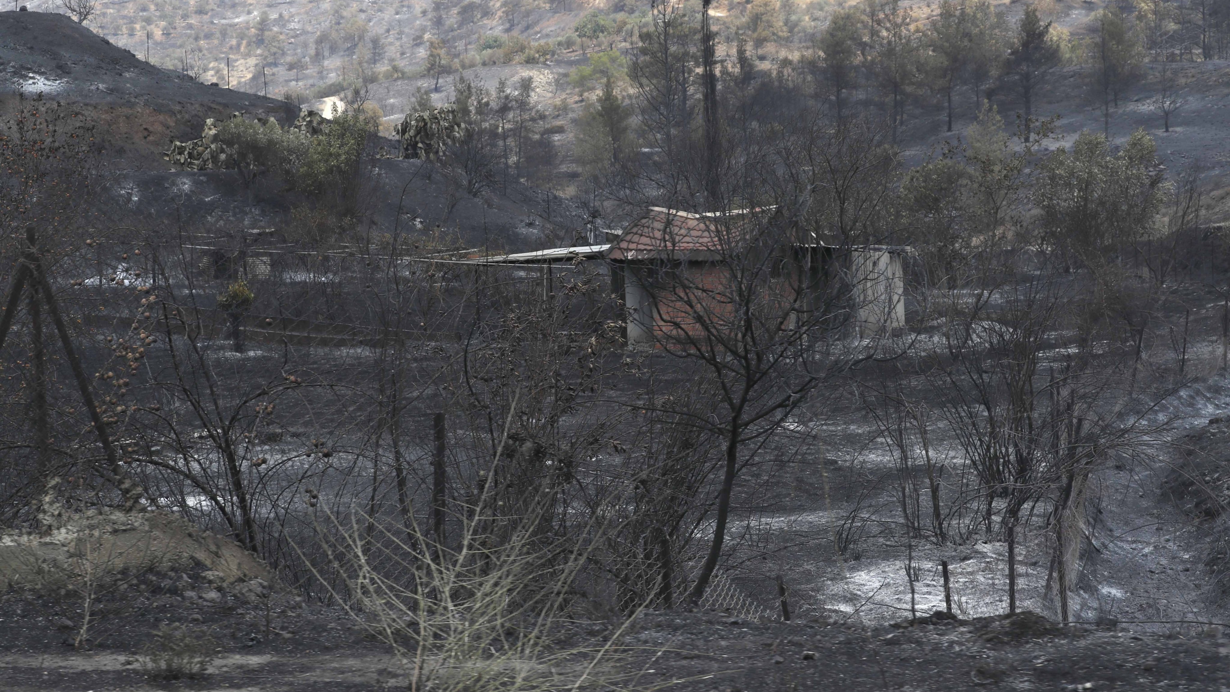 Fire in Cyprus brought under control