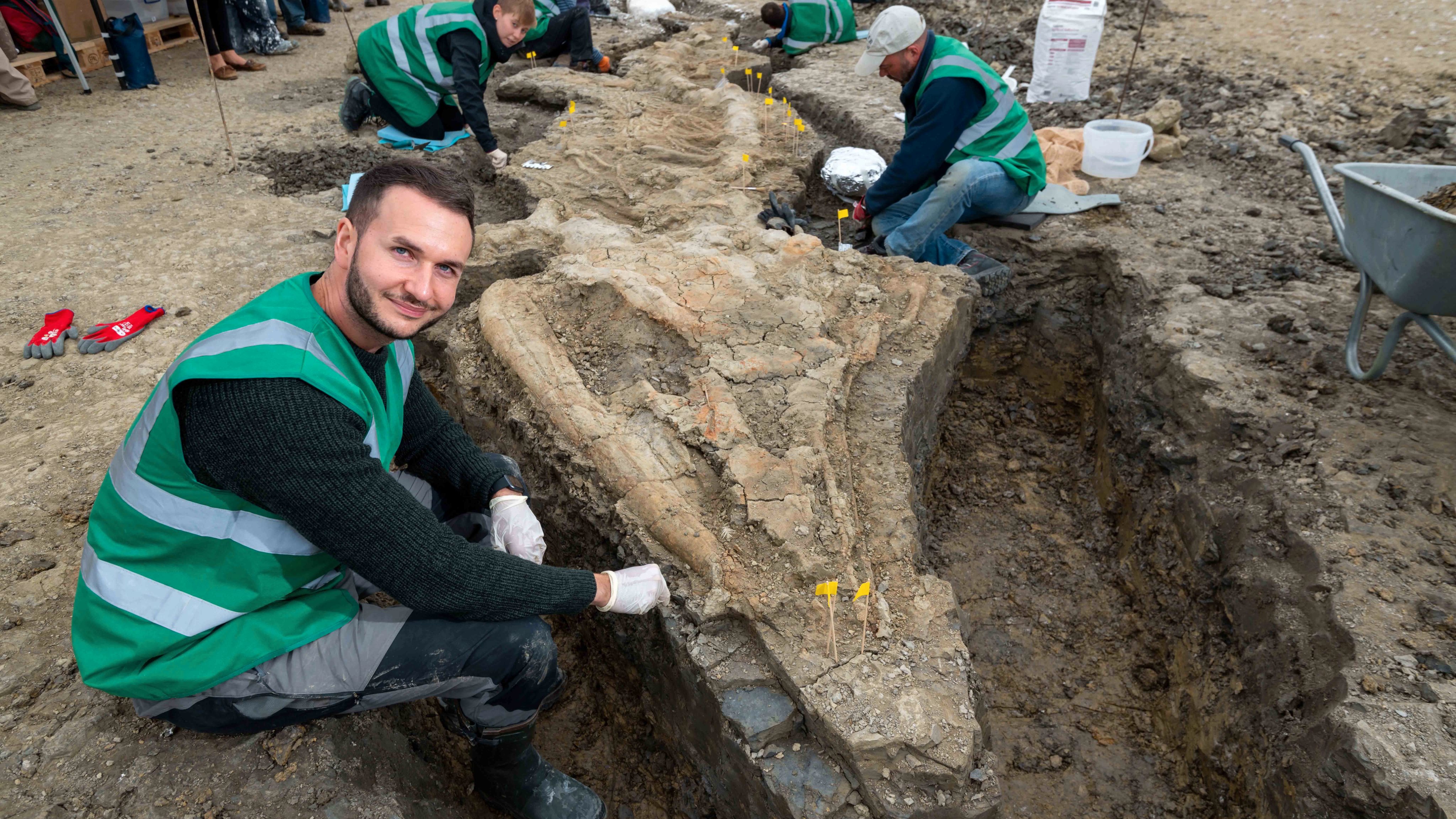 A análise e escavação do fóssil, realizada entre agosto e setembro de 2022, ficou a cargo do paleontólogo Dean Lomax