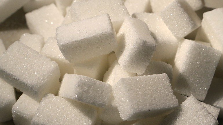 Ana Domingos quer perceber de que forma o açúcar influencia os centros de recompensa