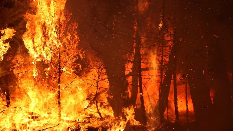 Os incêndios mobilizaram mais de 2400 bombeiros