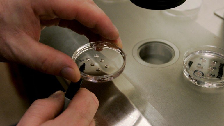 Os embriões usados tinham um defeito genético e não poderiam ser usados na procriação
