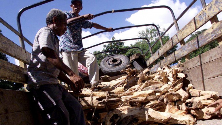 O Governo de Timor quer garantir o cumprimento das leis de proteção ambiental.