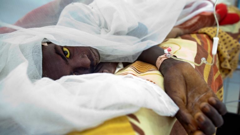 Só em Luanda e no Huambo foram registados até ao momento 1.778 dos casos suspeitos de febre-amarela