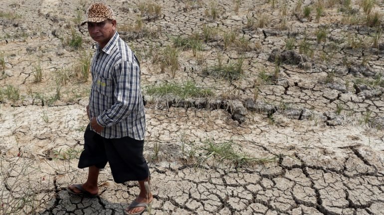A África Austral atravessa pior seca dos últimos 35 anos.