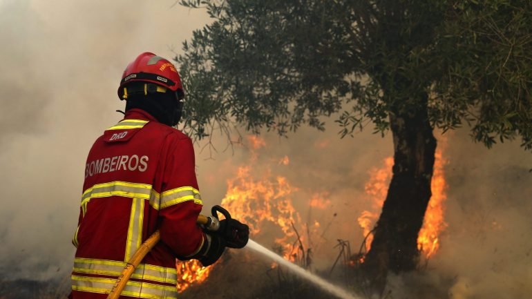 A Proteção Civil dava conta de quatro incêndios em Portugal na madrugada desta quinta-feira: Guarda, Bragança, Vila Real e Faro