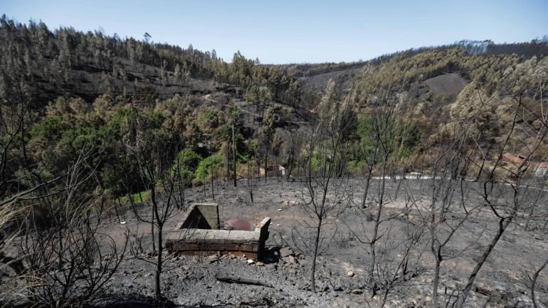 Os incêndios que deflagraram na região Centro, no dia 17, provocaram 64 mortos e mais de 200 feridos