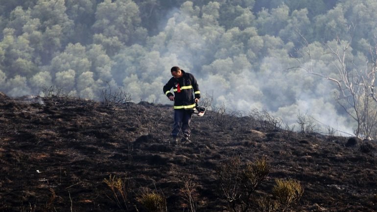 Os prejuízos diretos dos incêndios ascendem a 193,3 milhões de euros