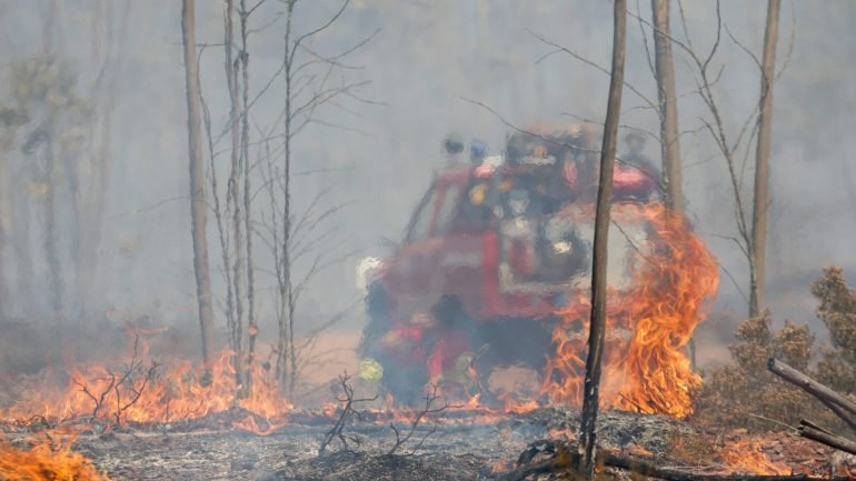 Mais de 900 bombeiros combatem as chamas, com o auxílio de 301 viaturas e 8 meios aéreos