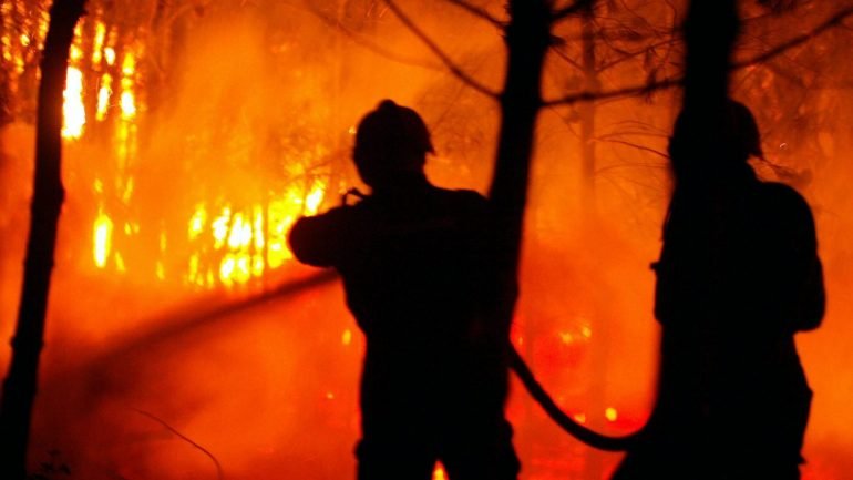 Pelas 6h estavam ativos dois grandes incêndios, ambos no distrito de Castelo Branco, que mobilizavam um total de 1.363 operacionais