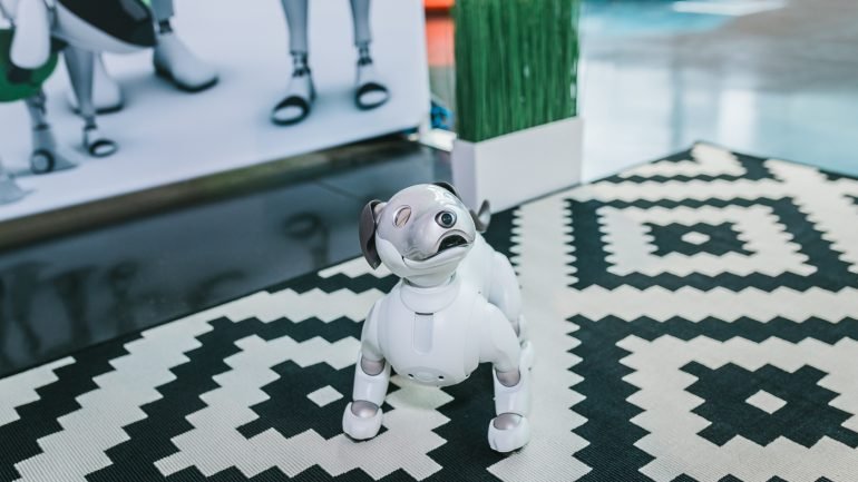 Uma das novidades da segunda edição do European Innovation Academy é o Sony AIBO ERS-1000, um cachorro robô de inteligência artificial para os visitantes poderem interagir que só se vende no Japão