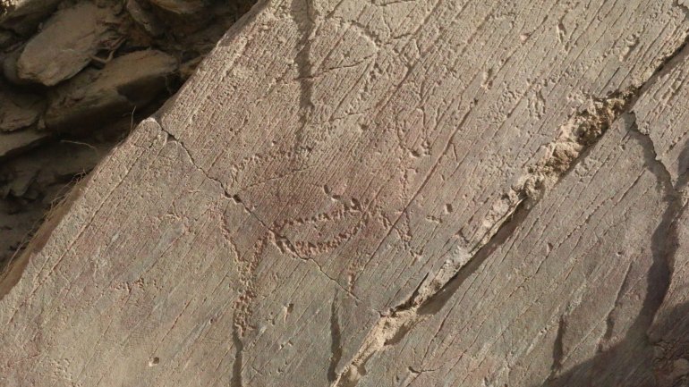A arte rupestre do Côa está inscrita na Lista do Património Mundial da UNESCO desde 1998