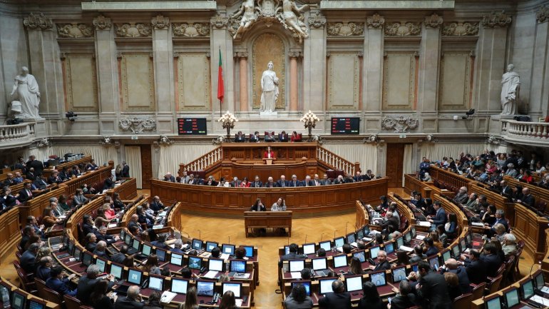 Heloísa Apolónia espera luz-verde dos outros grupos parlamentares