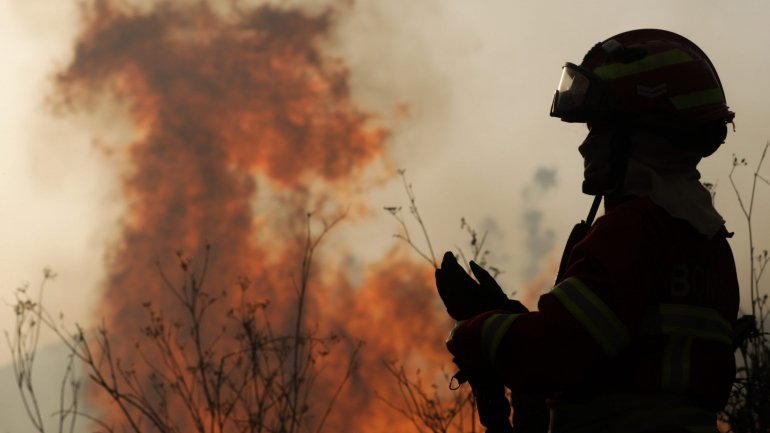 O DECIR 2019 prevê, no período de maior nível de empenhamento, a mobilização de cerca de 11.500 operacionais, dos quais mais de 50% são bombeiros