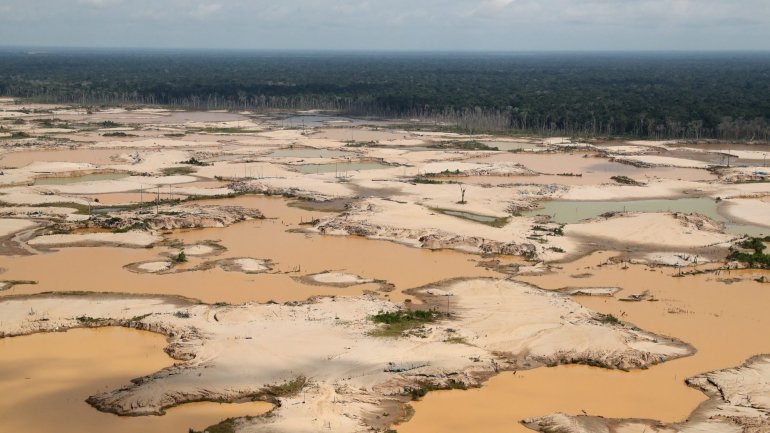 Imagens de satélite mostram as áreas desmatadas que circundam a Amazónia