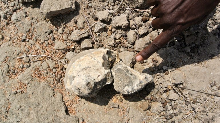 O crânio fossilizado descoberto está datado no intervalo de tempo entre 4,1 e 3,6 milhões de anos