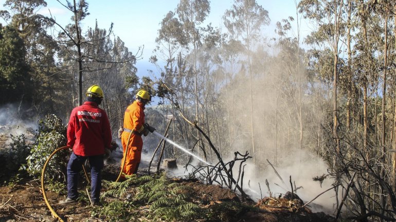 Na Calheta, uma queimada não autorizada ficou descontrolada e propagou-se a uma casa devoluta