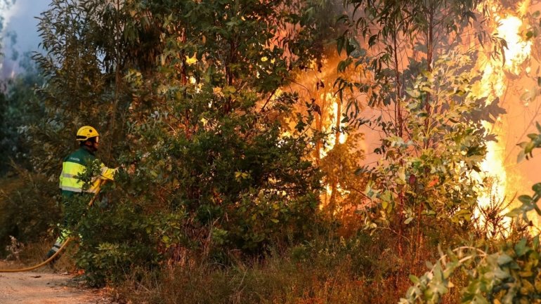 Em 2018, registaram-se 36 ocorrências relacionadas com incêndios, resultando numa área ardida de 0,82 hectares, quando em 2009 tinha havido 69 ocorrências e 11,4 hectares ardidos