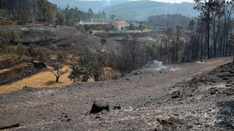 O incêndio tinha um potencial para poder atingir &quot;mais de 20 mil hectares de floresta&quot;, segundo informou a secretária de Estado da Administração Interna
