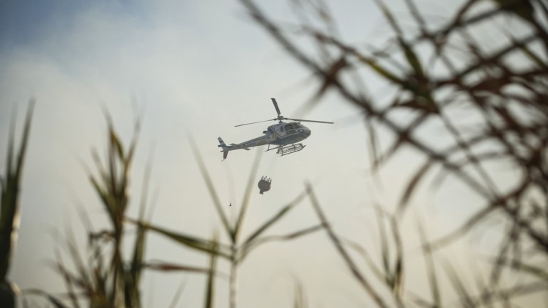 O Exército e a Marinha têm reforçado até sexta-feira os contingentes no terreno para vigiar e prevenir fogos florestais