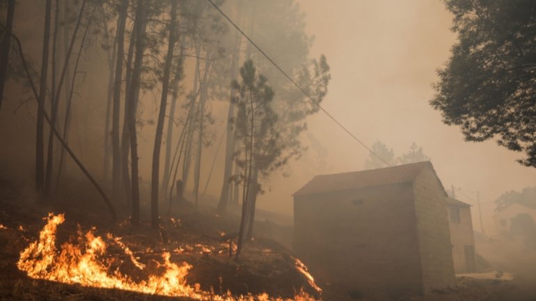 O incêndio destruiu 6 mil hectares