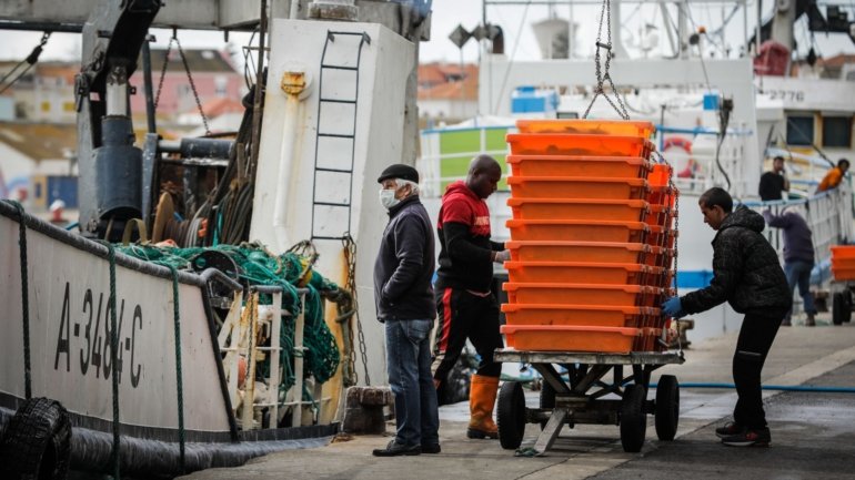 A proposta da Comissão Europeia será debatida pelos ministros das Pescas da UE em 15 e 16 de dezembro