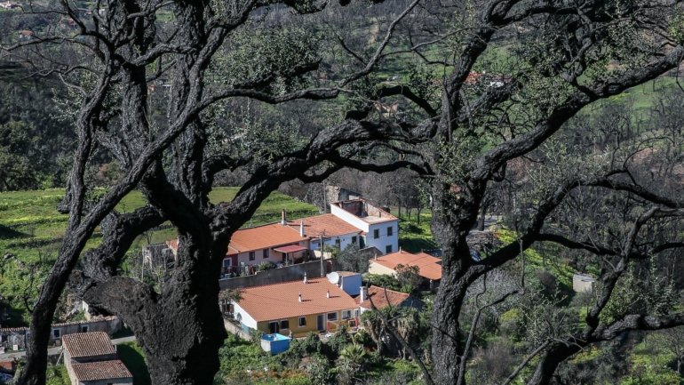 O incêndio que deflagrou em Monchique provocou também danos significativos no concelho vizinho de Silves, depois de ter afetado, com menor impacto, os municípios de Portimão, no distrito de Faro, e de Odemira