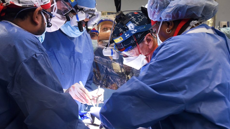 Uma cirurgia de um transplante de um coração de porco nos Estados Unidos da América