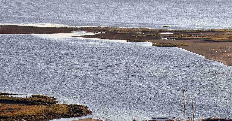 Leilão de "ilha" privada na ria de Aveiro termina sexta