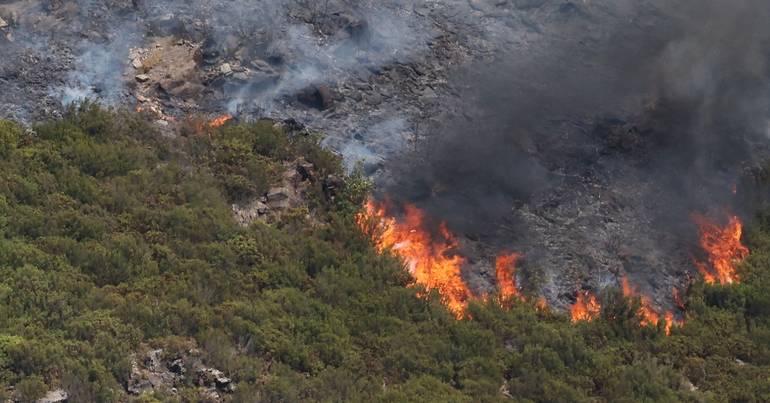 Tratores contra incêndios chegam ao Médio Tejo