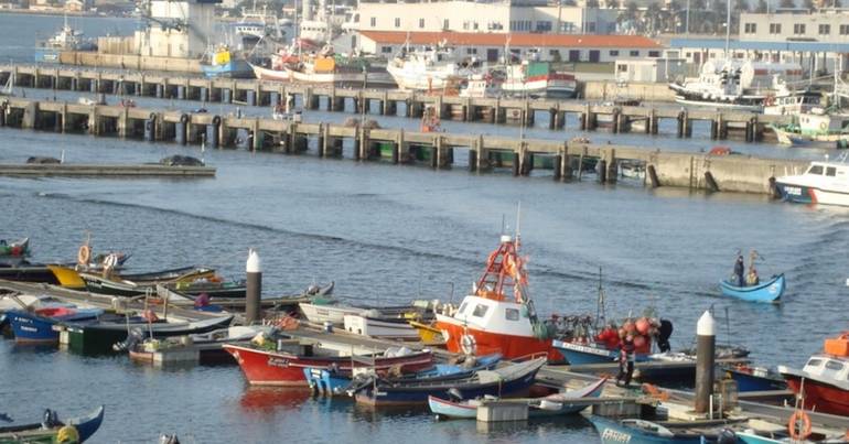 Aveiro aprova concurso para recolha e transporte de resíduos