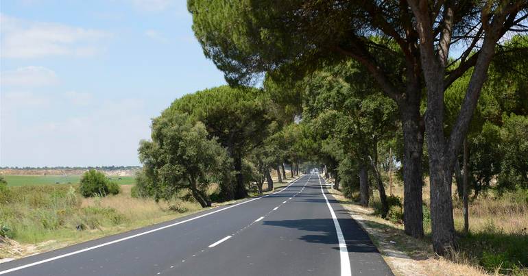Mulher morre atropelada por camião em Estremoz
