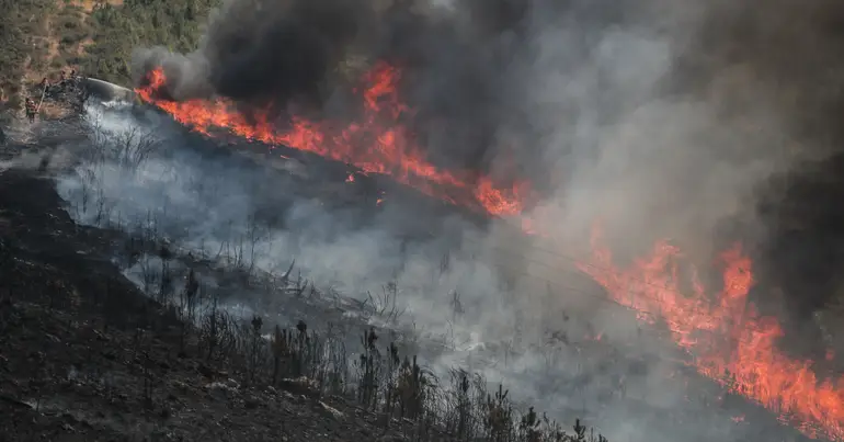 Incêndio em Mirandela faz um morto – Observador