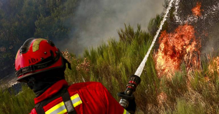 Detido pela PJ suspeito de ter ateado fogos em Mêda