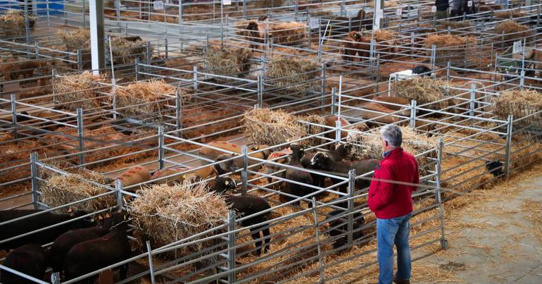 Agricultores convocam marcha lenta contra subida dos custos