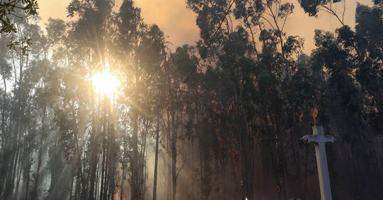 Mais de 70 concelhos continuam em perigo máximo de incêndio