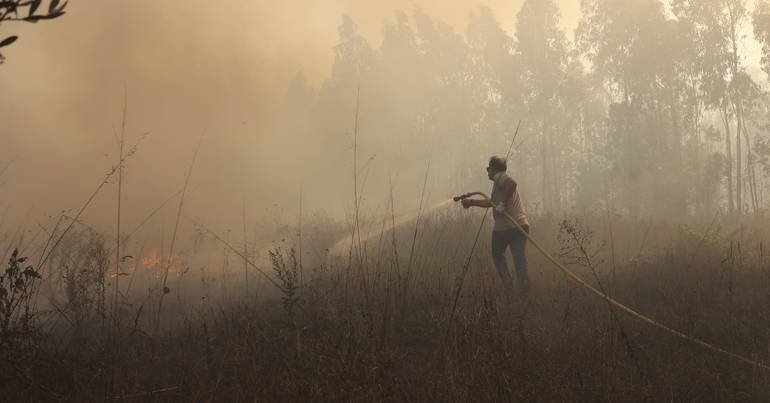 Mais de 70 concelhos em perigo máximo de incêndio rural