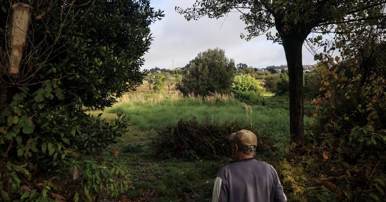 Termina esta quarta registo gratuito de terrenos no BUPi