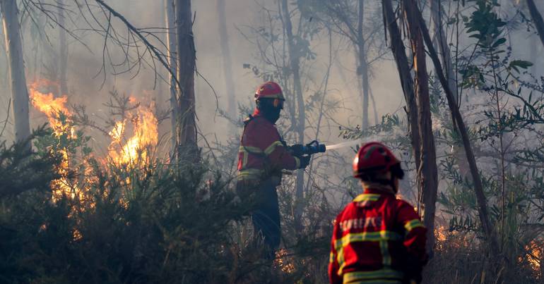 Sete meios aéreos combatem fogo em Santo Tirso