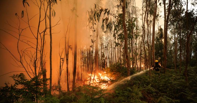 GNR detém suspeito de lançar fogo em Oliveira do Hospital